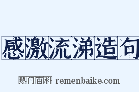 感激流涕造句是什么意思的图片